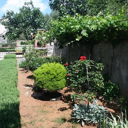 Apartman Family-friendly With Swimming Pool - 5489 Crikvenica